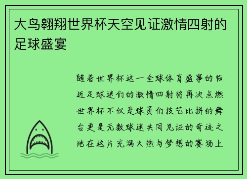 大鸟翱翔世界杯天空见证激情四射的足球盛宴